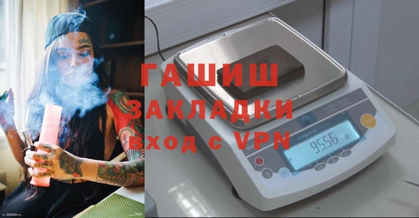 стаф Алзамай