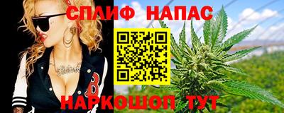 СК Кохма