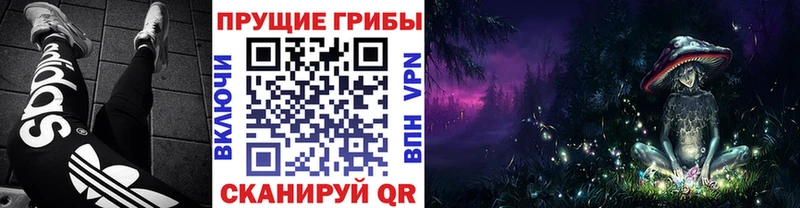 Псилоцибиновые грибы ЛСД MEGA Тейково
