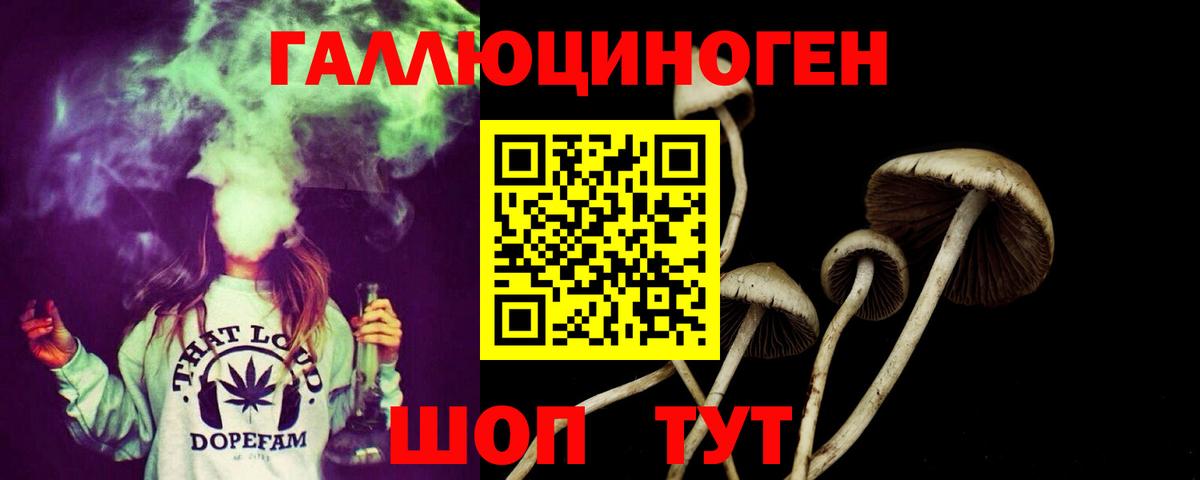 Псилоцибиновые грибы Magic Shrooms  Вход с VPN  Тейково 